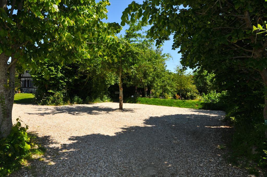 Le Bois Des Pierres